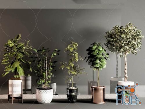 Plant Compilation 21