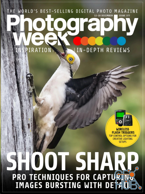 Photography Week – 12 December 2019 (PDF)