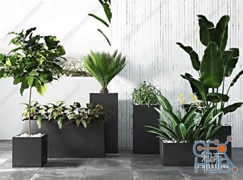 Plant Compilation 22