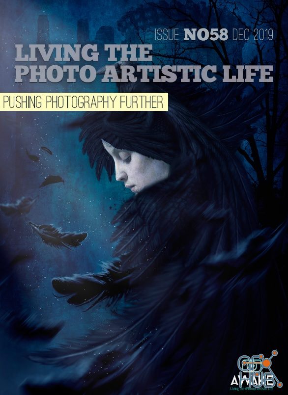 Living The Photo Artistic Life - December 2019