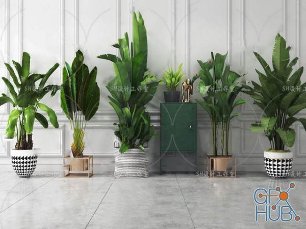 Plant Compilation 23