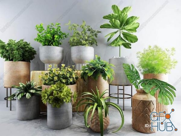 Plant Compilation 26