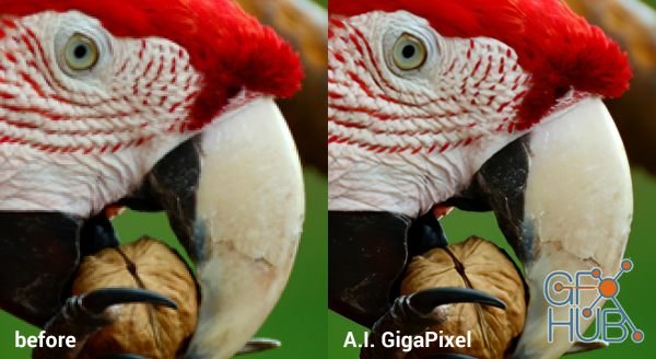 Topaz Gigapixel AI 4.4.5 (x64)