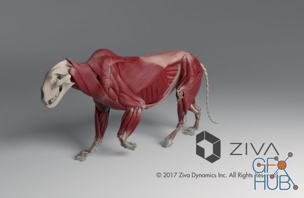 Ziva Dynamics Ziva VFX v1.8 for Maya 2016 to 2019 Win/Linux