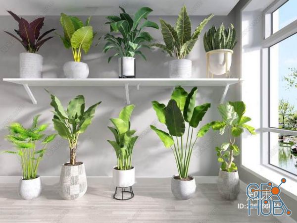 Plant Compilation 54