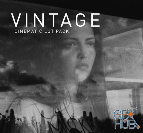 NoamKroll – Cinematic LUT's: Vintage (Win/Mac)