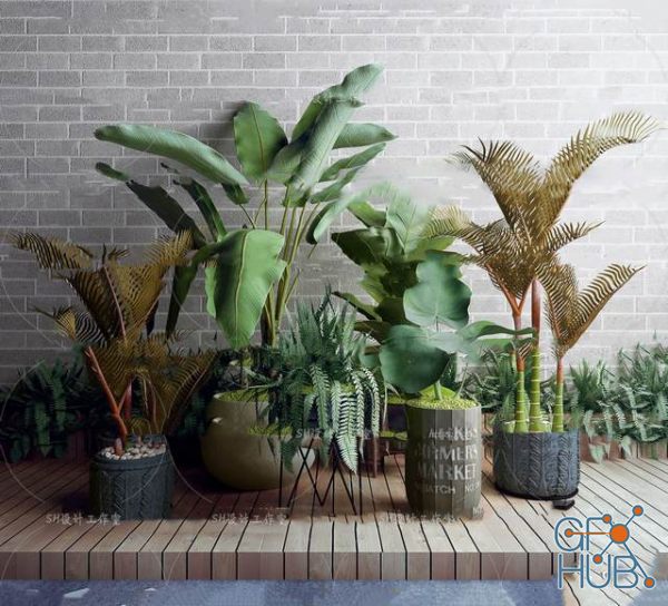 Plant Compilation 27