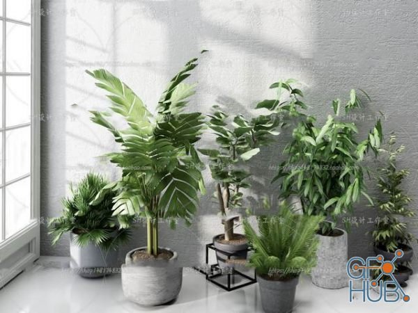 Plant Compilation 28