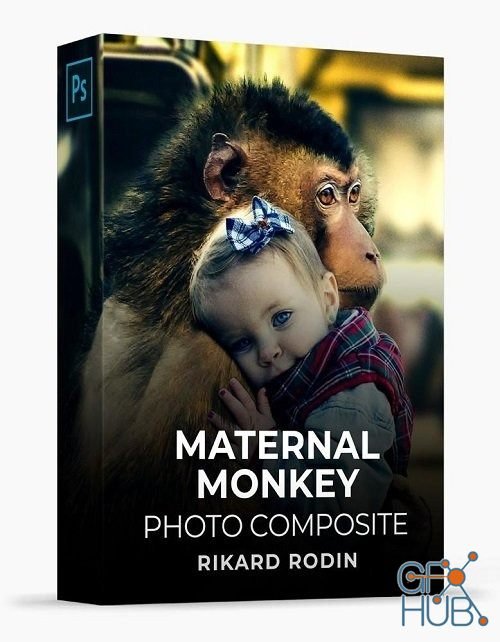 Rikard Rodin – The Maternal Monkey Photo Composite