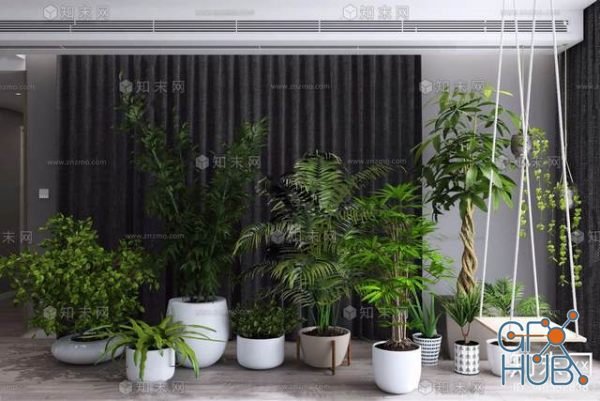 Plant Compilation 42