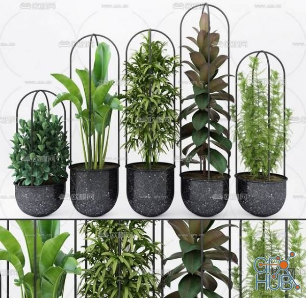 Plant Compilation 44