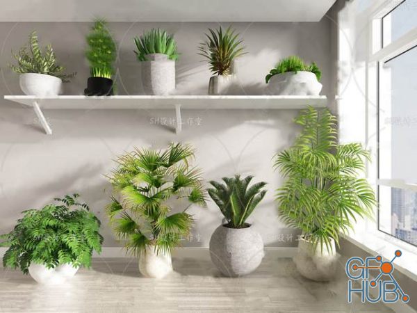 Plant Compilation 45