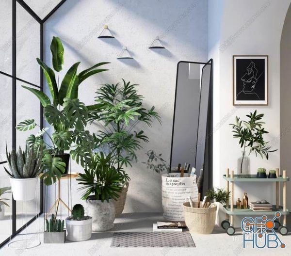 Plant Compilation 46