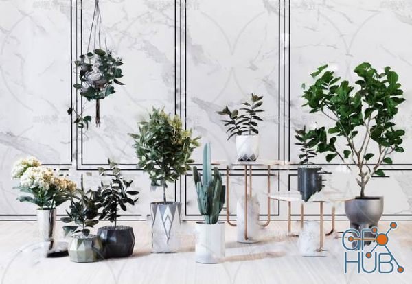 Plant Compilation 47