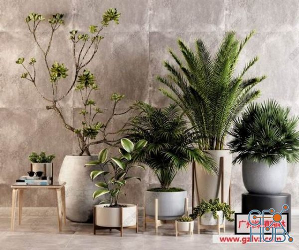 Plant Compilation 50