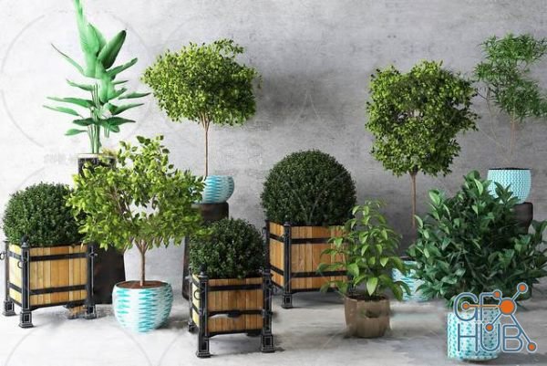 Plant Compilation 52