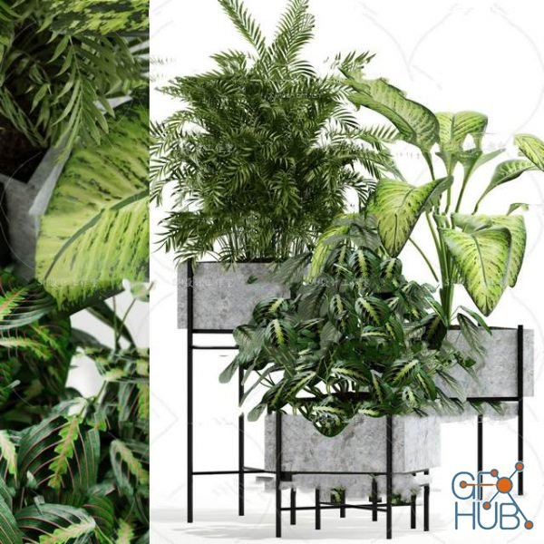 Plant Compilation 57