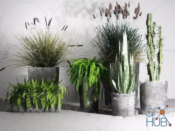 Plant Compilation 58