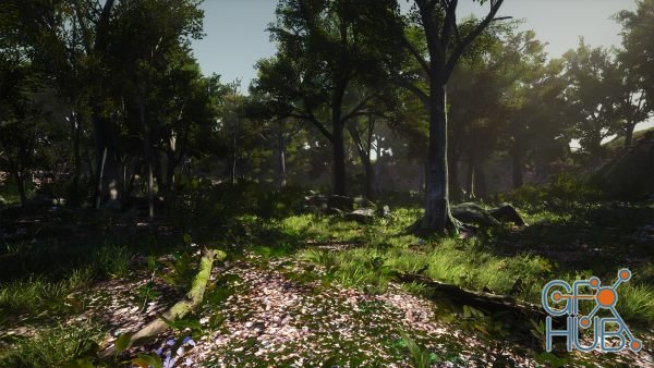 3D-Scanned, Photo-Realistic Forest Landscape Asset Pack Vol. 1 v4.22