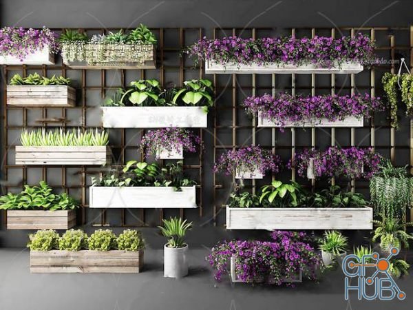 Plant Compilation 60