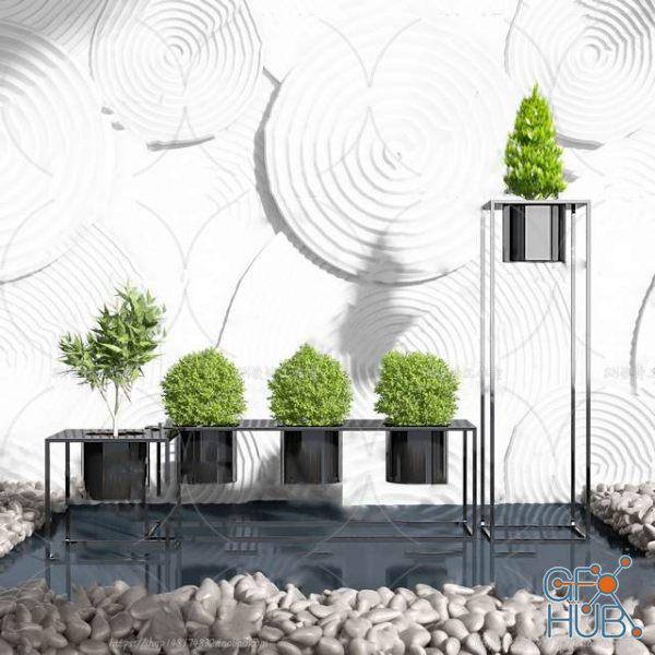 Plant Compilation 63