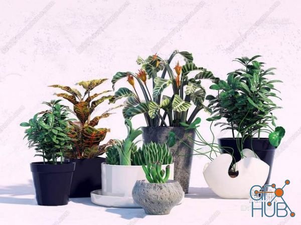 Plant Compilation 67