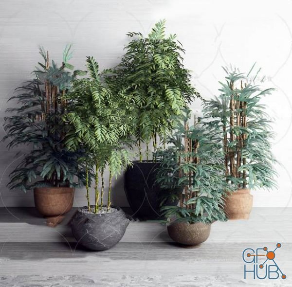 Plant Compilation 69