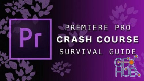 Skillshare – Premiere Pro 2020 | Crash Course Survival Guide