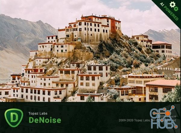 Topaz DeNoise AI 2.2.2 (x64)