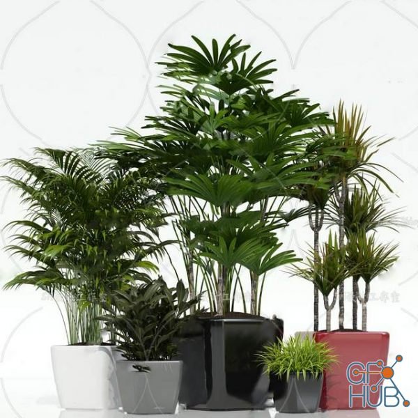 Plant Compilation 71