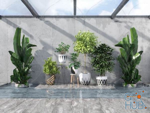 Plant Compilation 72