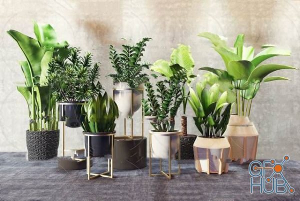 Plant Compilation 73