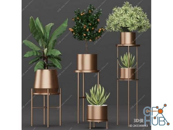 Plant Compilation 76