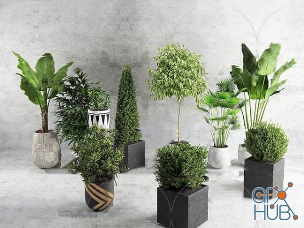 Plant Compilation 78