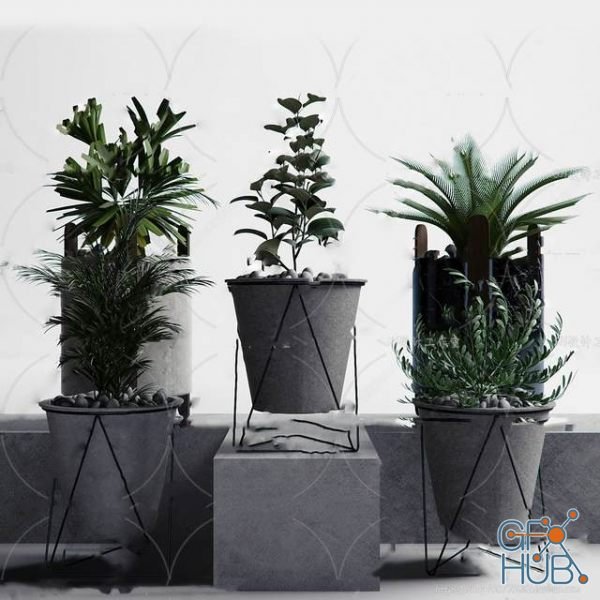 Plant Compilation 79