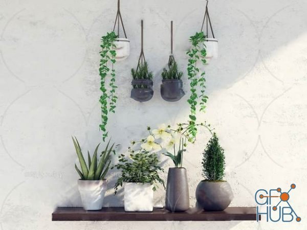 Plant Compilation 83