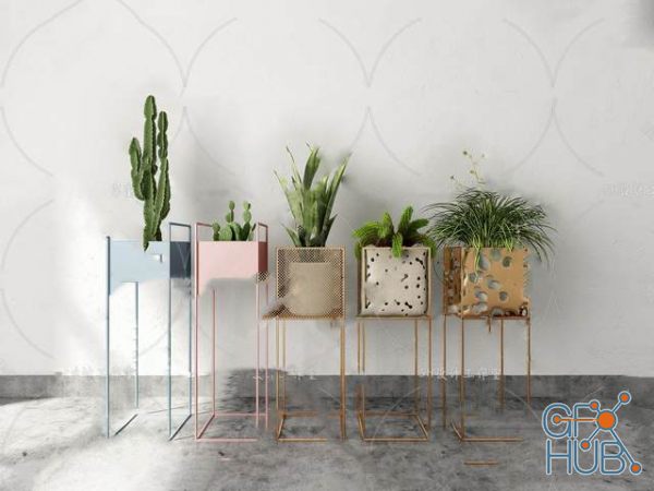 Plant Compilation 84