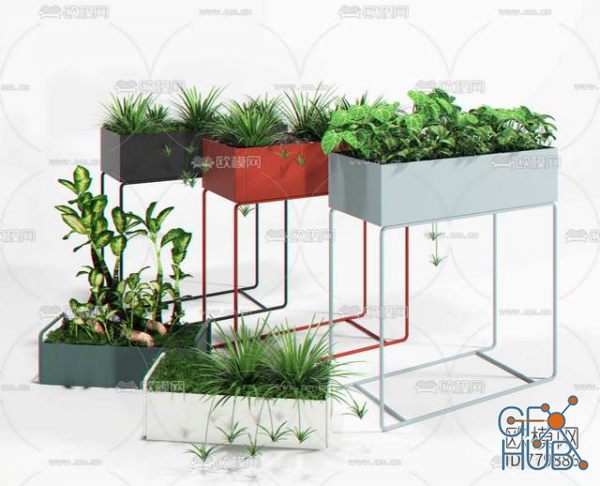 Plant Compilation 85