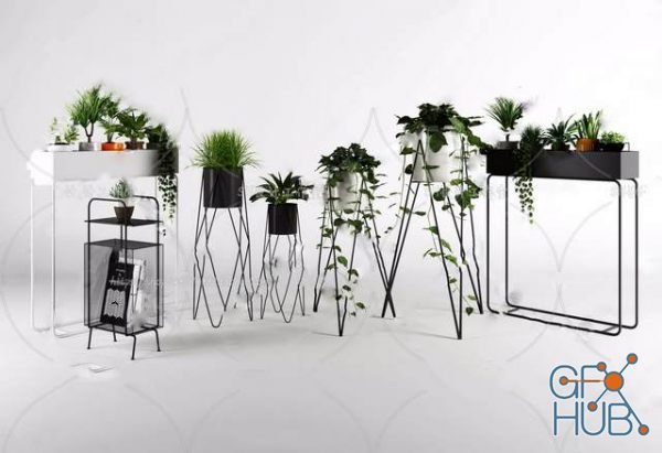 Plant Compilation 90