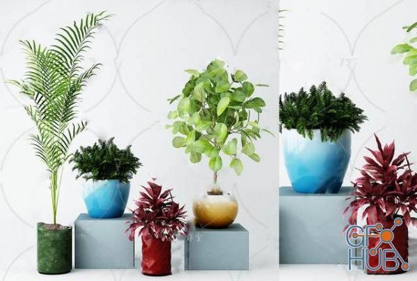 Plant Compilation 98