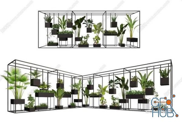 Plant Compilation 91