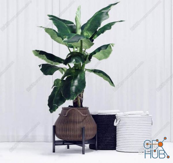 Plant Compilation 96