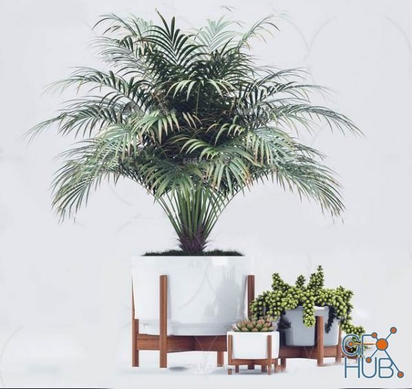 Plant Compilation 97