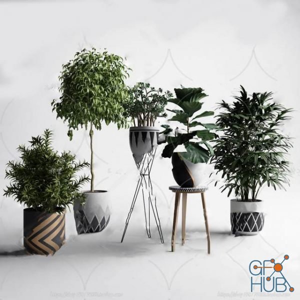 Plant Compilation 99