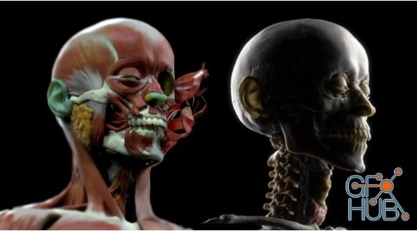 CGMaster Academy – Character Facial Sculpting (ENG-RUS)