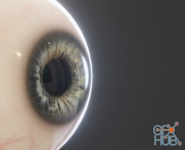 Realistic Eye Pack