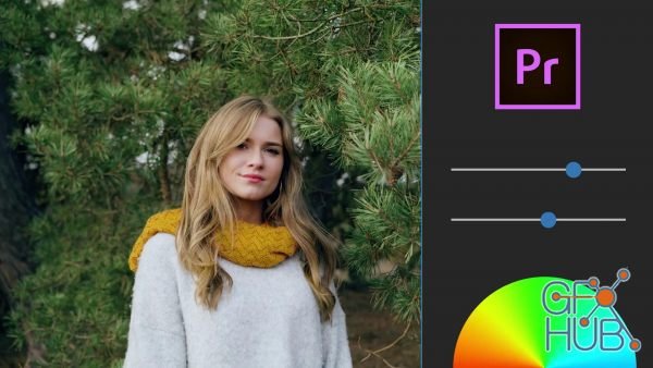 Skillshare – Premiere Pro Lumetri 2020: Color Correct & Color Grade like a Pro
