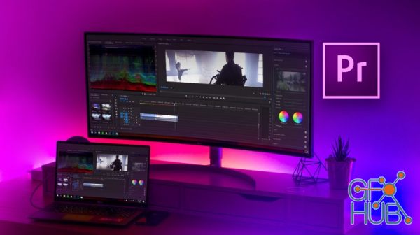 Adobe Premiere Pro 2020 v14.0.3.1 Win x64