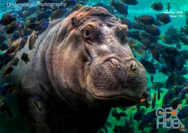 Underwater Photography – March-April 2020 (True PDF)