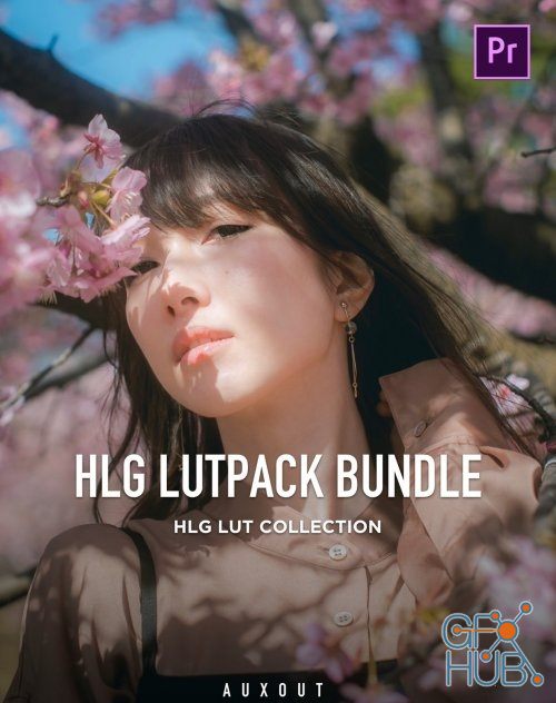 Auxout – HLG LUTPack Bundle
